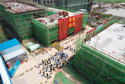 中鐵上海局承建安徽供銷樅陽農產品項目C16地塊主樓順利封頂，物資供銷協同助推鄉村振興